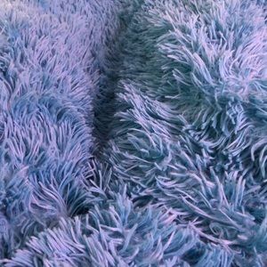 Meet your Posher, Brandyn